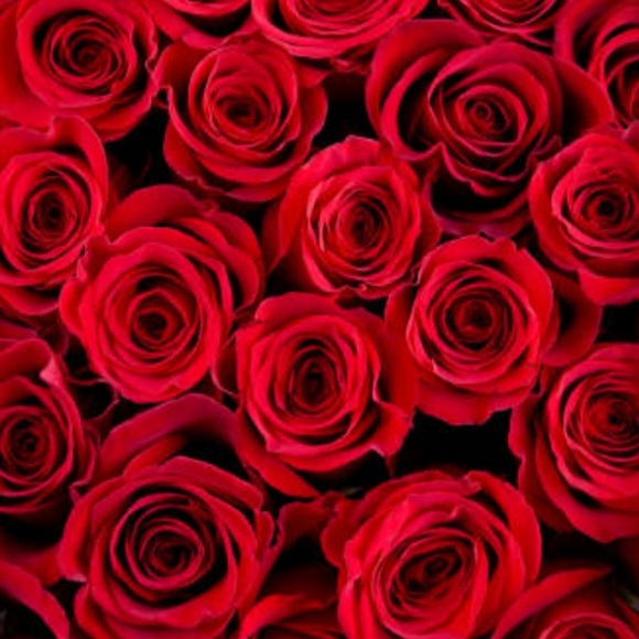 Meet your Posher - Picture 1 of 1